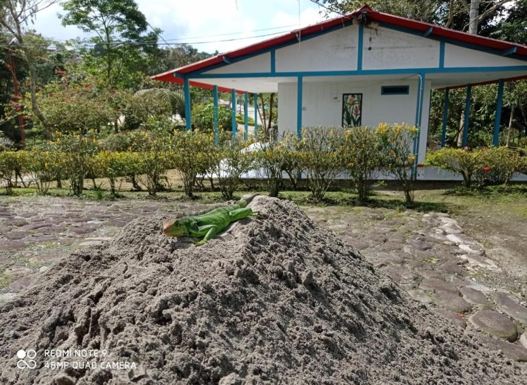 Hostal Campestre El Santuario Filandia Exterior foto